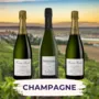 Champagne Francois Secondé Sample Pack - 3 Bottles