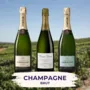 Champagne Brut Probepaket