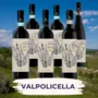 Valpolicella tasting pack