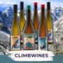 CLIMBWINES Proefpakket