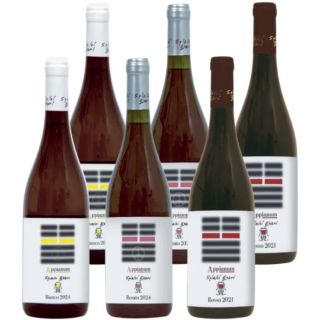 Spiriti Ebbri 'Appianum' Tasting Case