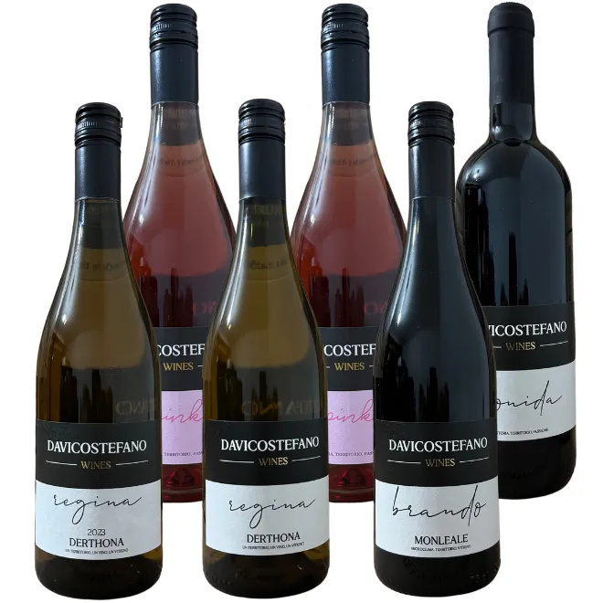 Davico Stefano Tasting Case