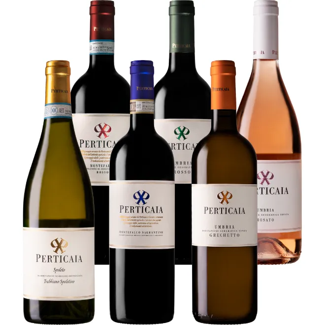 Perticaia Tasting Case