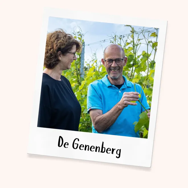 Het ONWINE oogstfeest