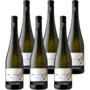 Zanotelli Riesling Renano Trentino DOC