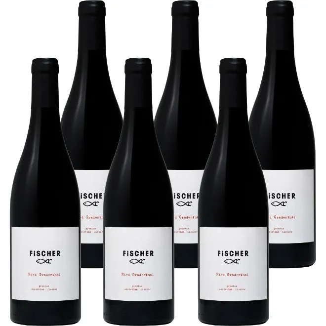'Ried Gradenthal' Zweigelt BIO