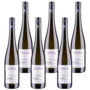 Grüner Veltliner Ried Längen DAC Weinviertel