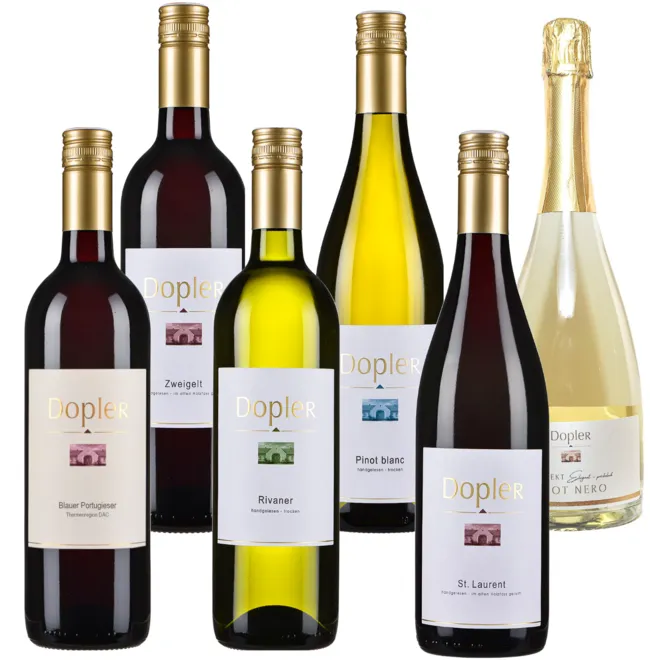 Weingut Dopler Tasting Case (Thermenregion)