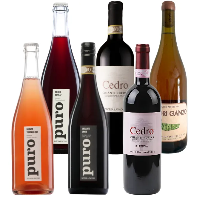 Fattoria Lavacchio Tasting Case