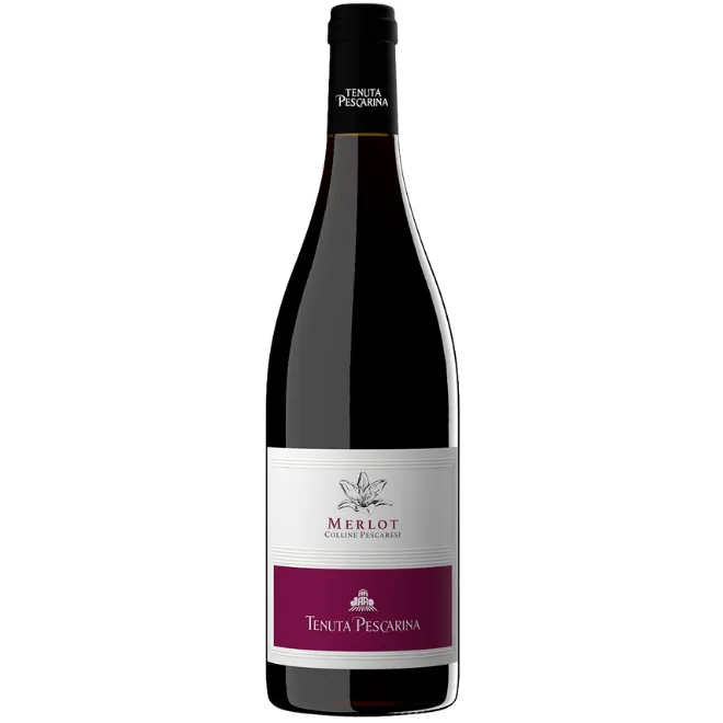 Merlot IGT Colline Pescaresi