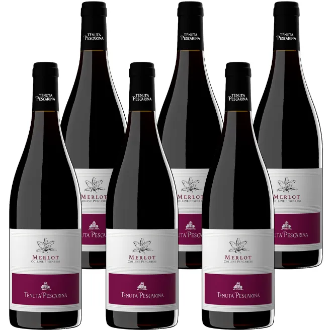Merlot IGT Colline Pescaresi