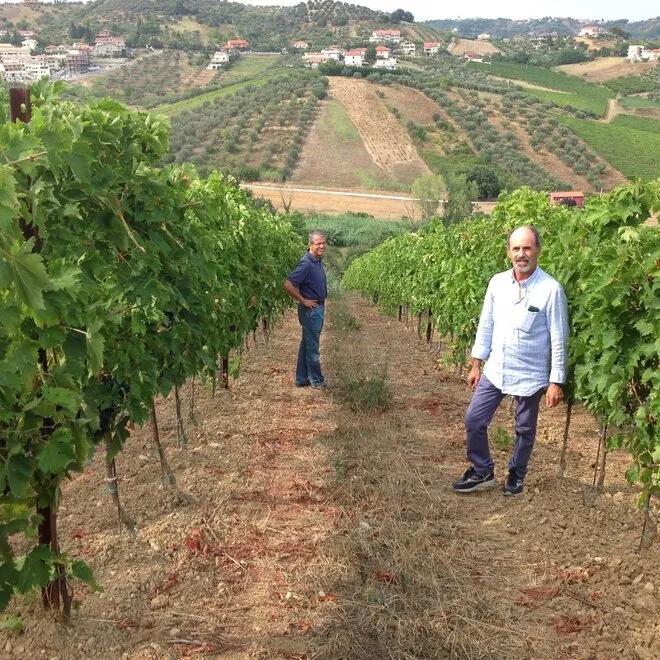 Tenuta Pescarina Tasting Case (Abruzzo)