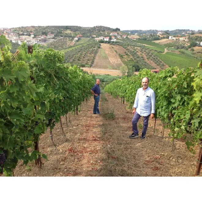 Tenuta Pescarina Tasting Case