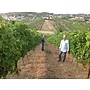 Tenuta Pescarina Tasting Case (Abruzzo)