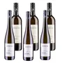 Grüner Veltliner Probepaket