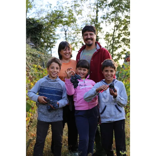 Maison D&D Probierpaket