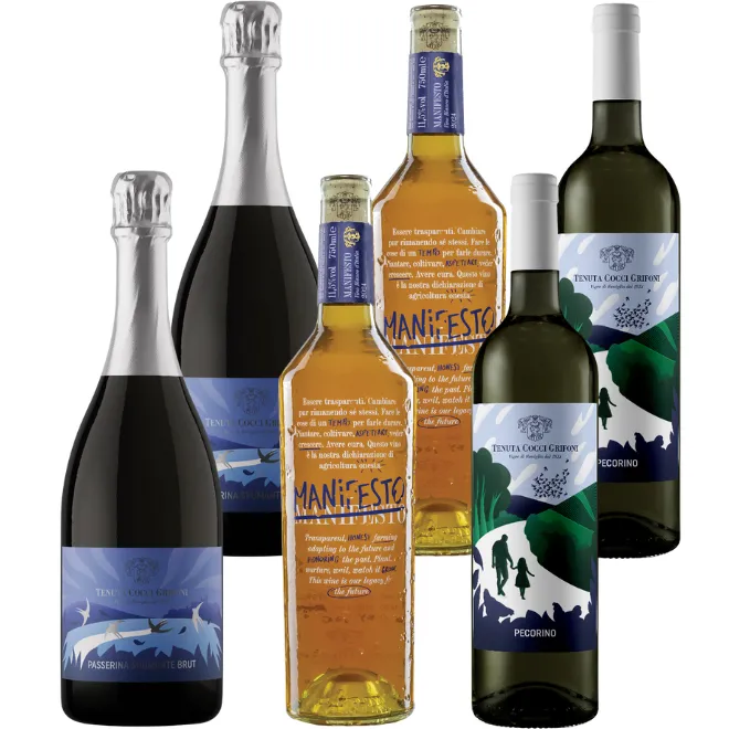 Manifesto Party Paket