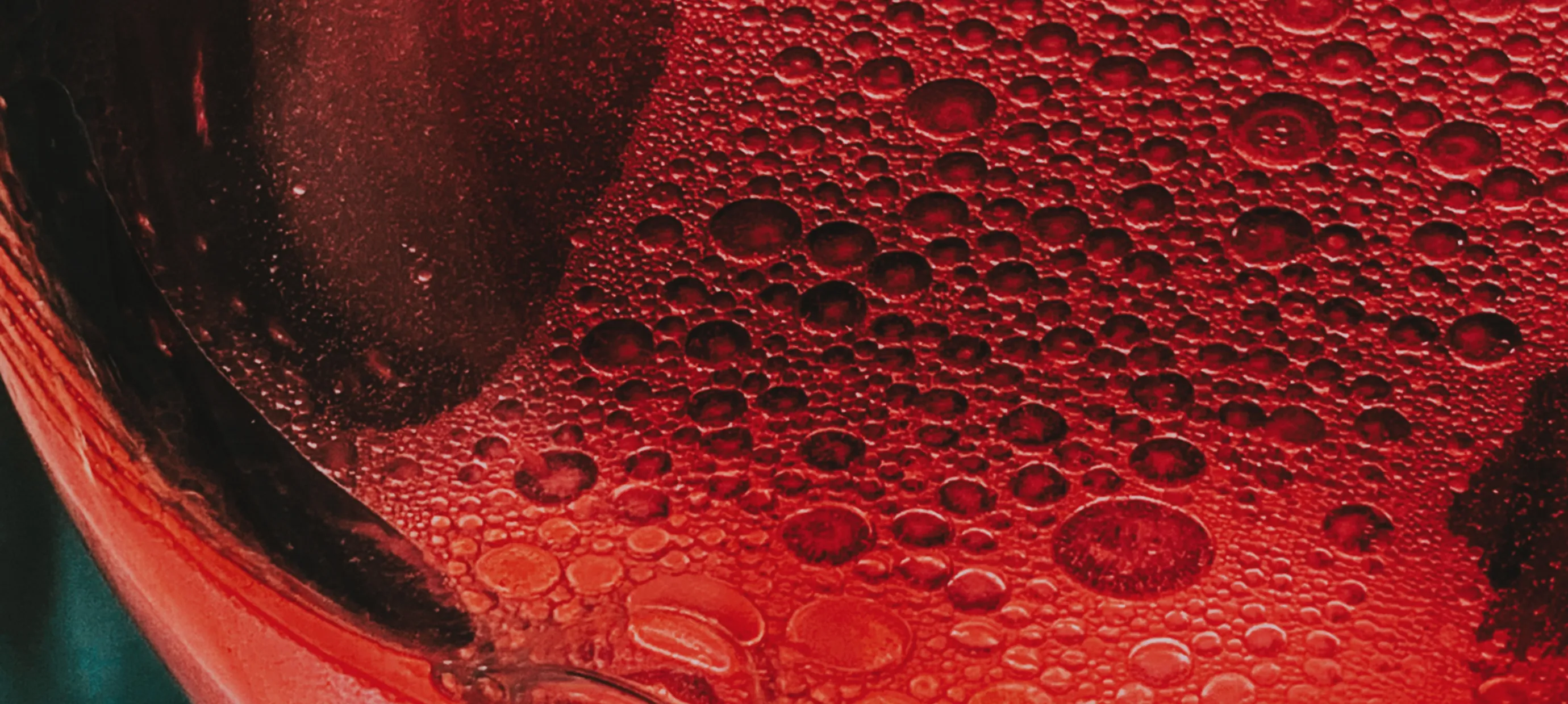 De ommekeer van Lambrusco. Van bulkwijn naar topklasse.