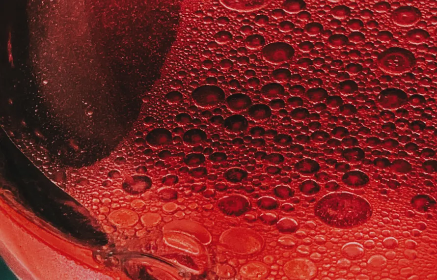 De ommekeer van Lambrusco. Van bulkwijn naar topklasse.