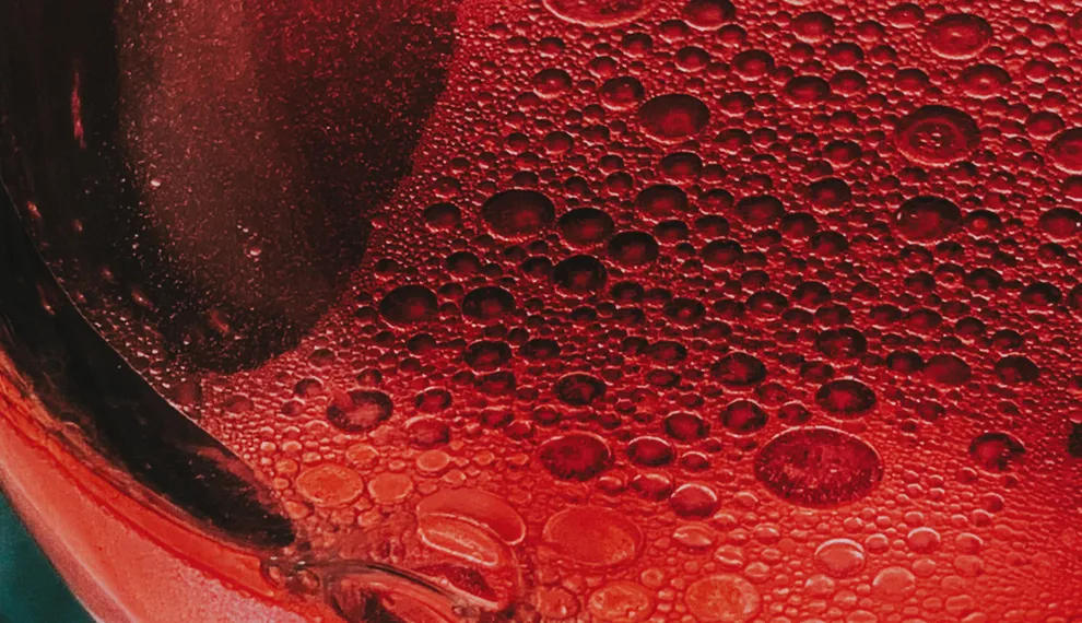 De ommekeer van Lambrusco. Van bulkwijn naar topklasse. 