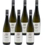 Grüner Veltliner Gottschelle DAC