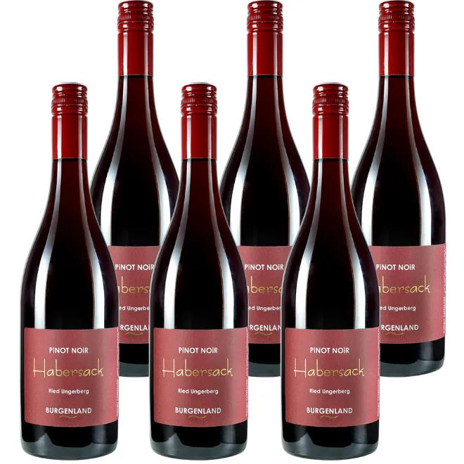 Pinot Noir Ried Ungerberg Trocken 2023