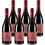 Pinot Noir Ried Ungerberg Trocken 2023