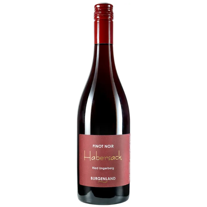 Pinot Noir Ried Ungerberg Trocken 2023