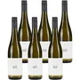 'Area 897' Riesling 2023