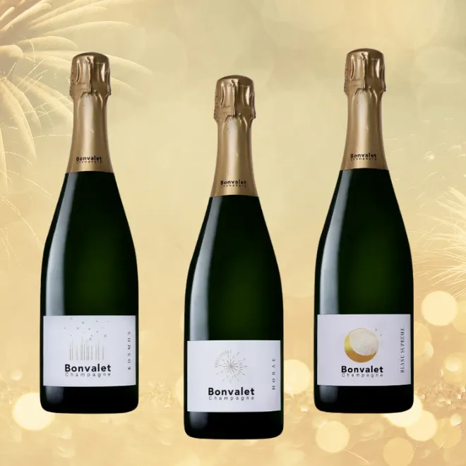 Champagne Brut Probepaket