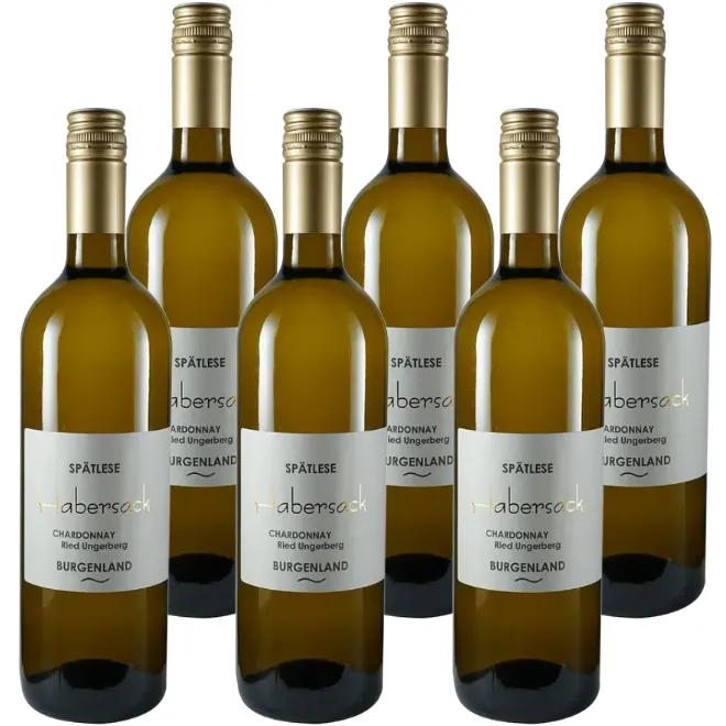 Chardonnay Spätlese Ried Ungerberg 2023