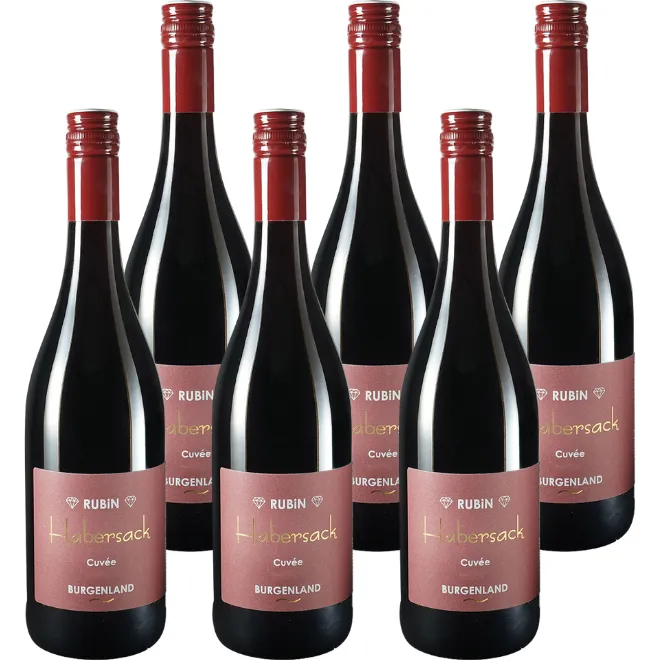 'RUBiN' Rot Cuvée 2021