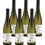 'Sweet Soul' Riesling Lieblich 2024