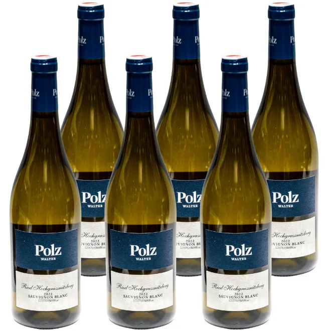 Sauvignon Blanc Ried Hochgrassnitzberg Südsteiermark DAC 2022