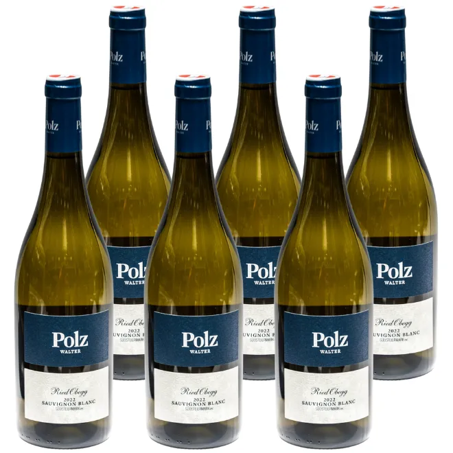 Sauvignon Blanc Ried Obegg Südsteiermark DAC 2022