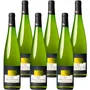 Riesling 2024