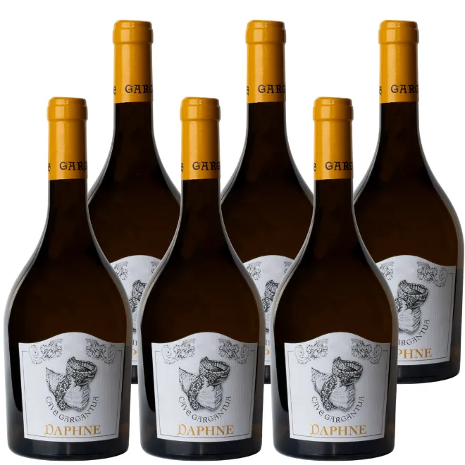 'Daphne' Vino Bianco 2023