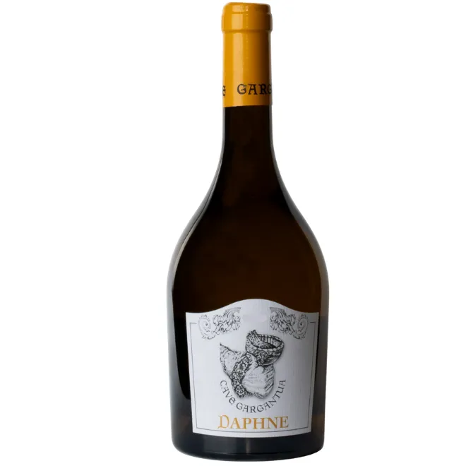 'Daphne' Vino Bianco 2023