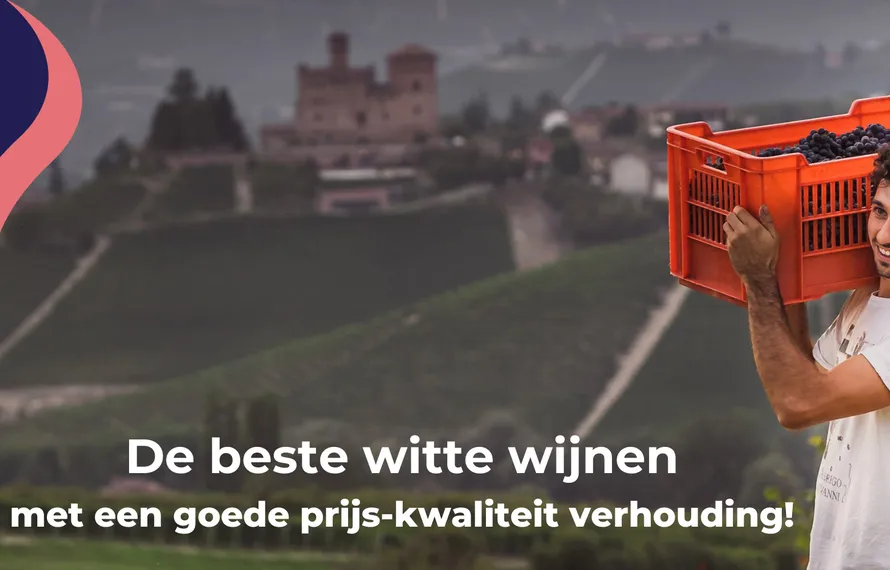 5 Heerlijke witte wijnen met een goede prijs-kwaliteit verhouding