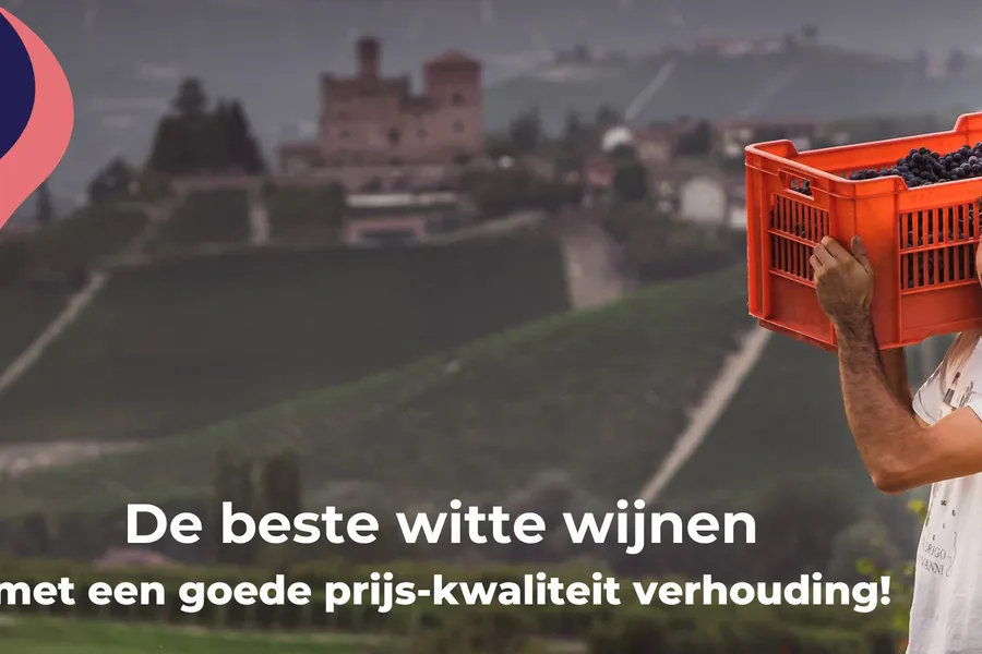 5 Heerlijke witte wijnen met een goede prijs-kwaliteit verhouding