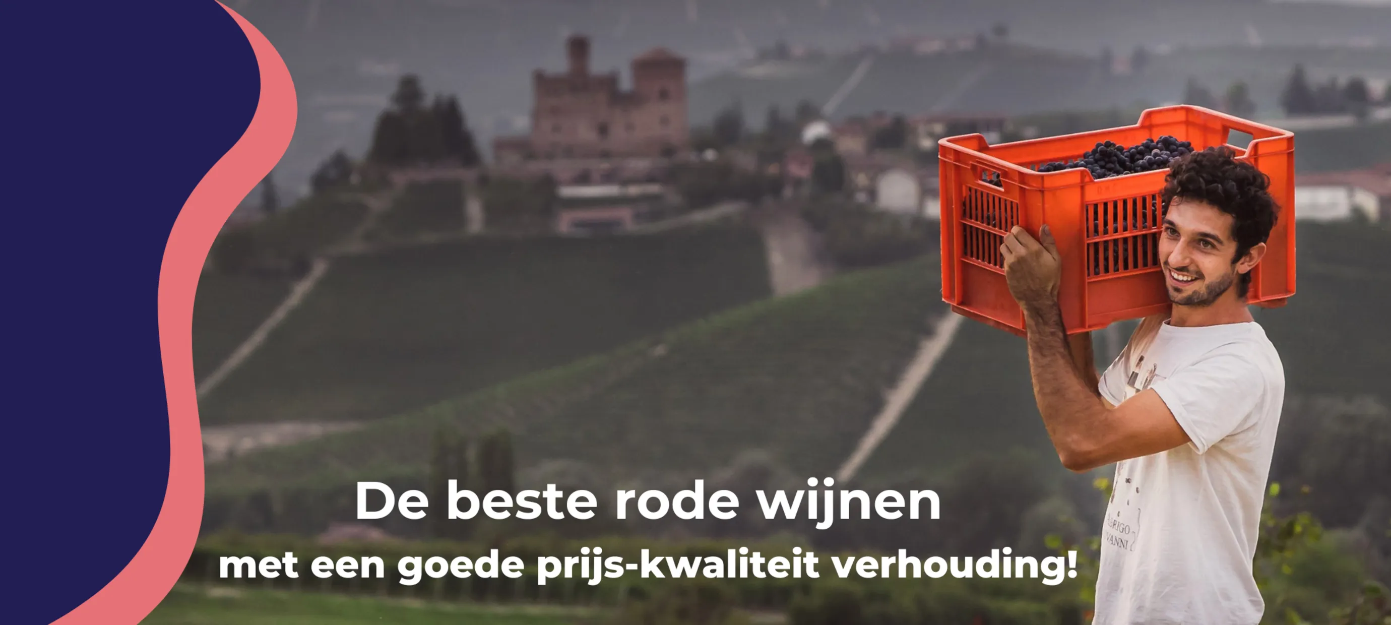 5 Fantastische rode wijnen met een goede prijs-kwaliteit verhouding