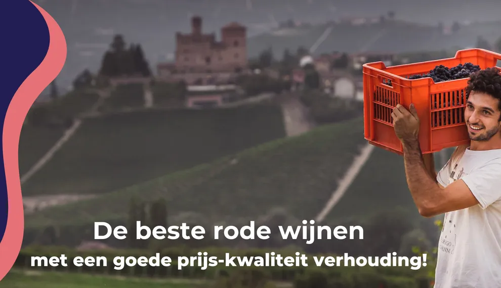 5 Fantastische rode wijnen met een goede prijs-kwaliteit verhouding