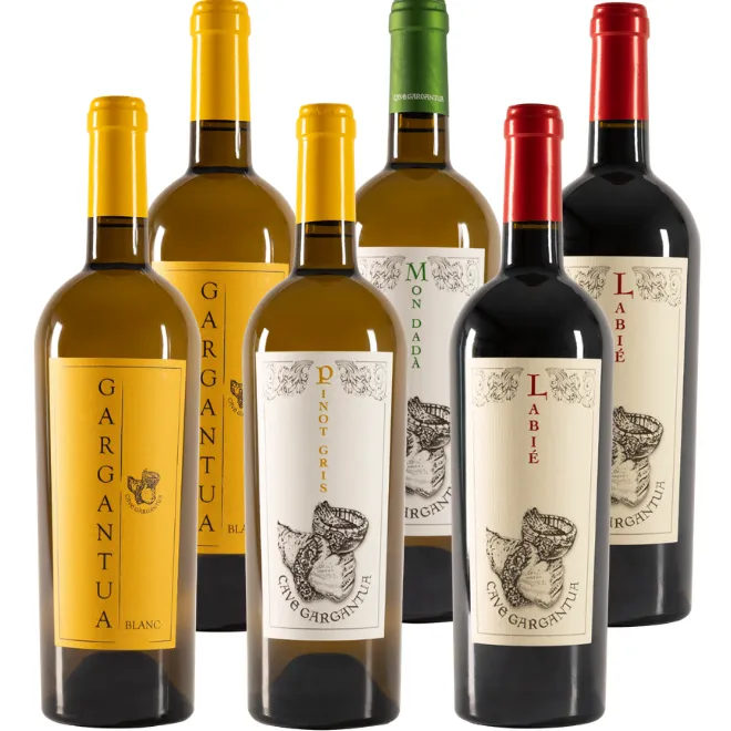 Cave Gargantua Tasting Case