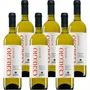 'Ceregio' Bianco Romagna Trebbiano DOC