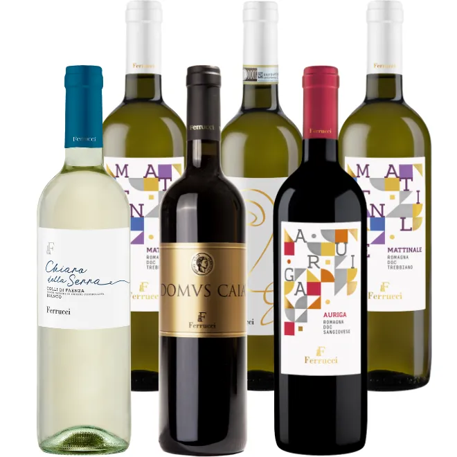 Stefano Ferrucci Tasting Case