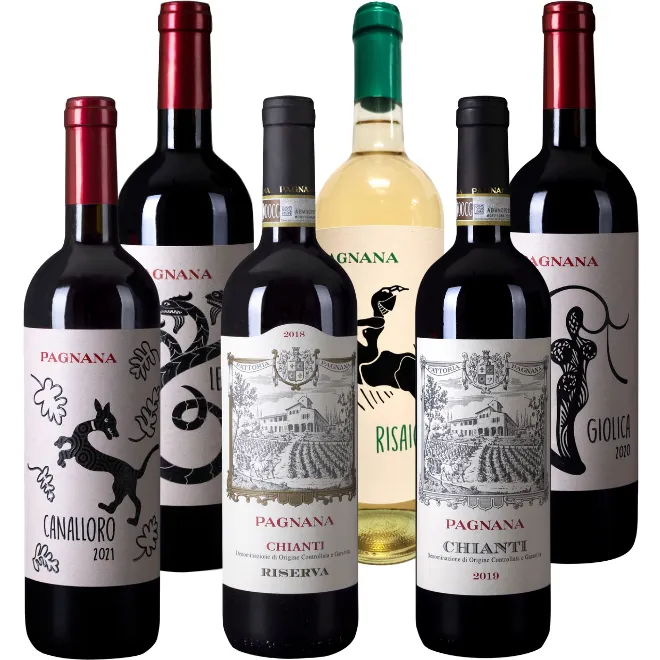 Fattoria Pagnana Tasting Case