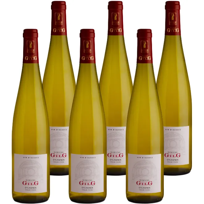 Sylvaner Vieilles Vignes 2023