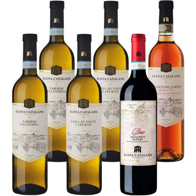 Elena Catalano Tasting Case