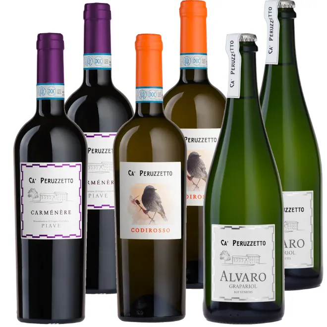 Ca' Peruzzetto Tasting Case
