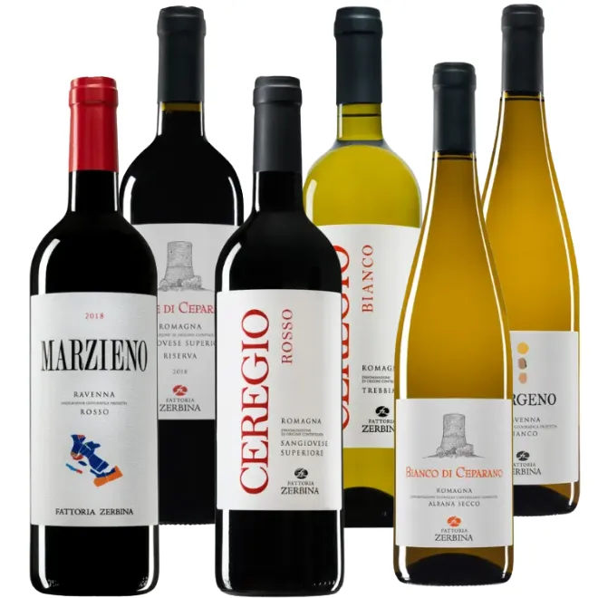 Fattoria Zerbina Tasting Case
